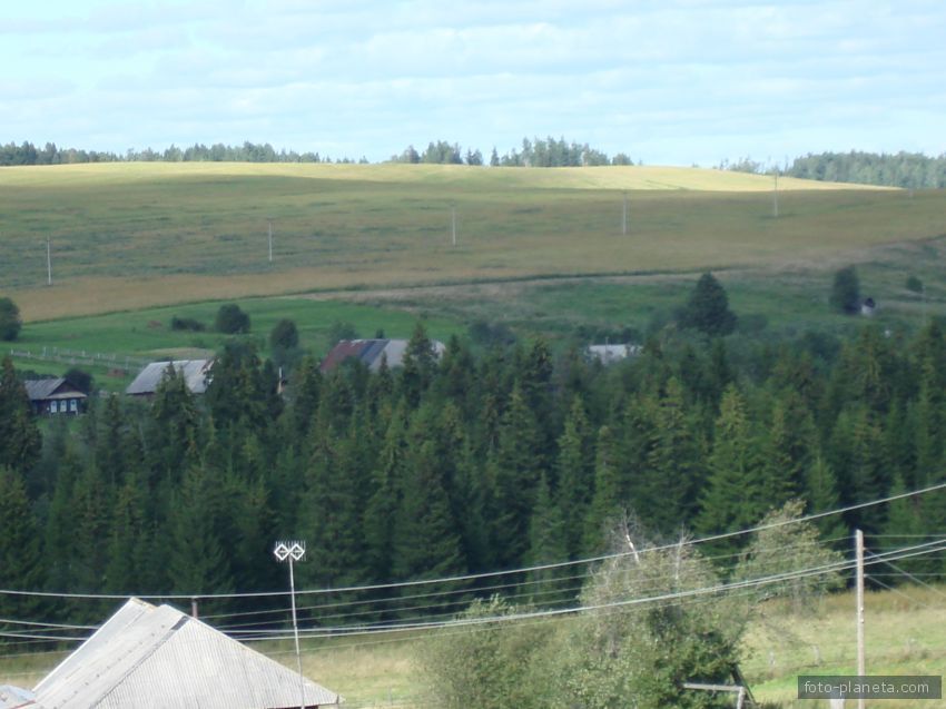 Село базой. Село Заворонежское Староюрьевский район. Родник в Староюрьевском районе.