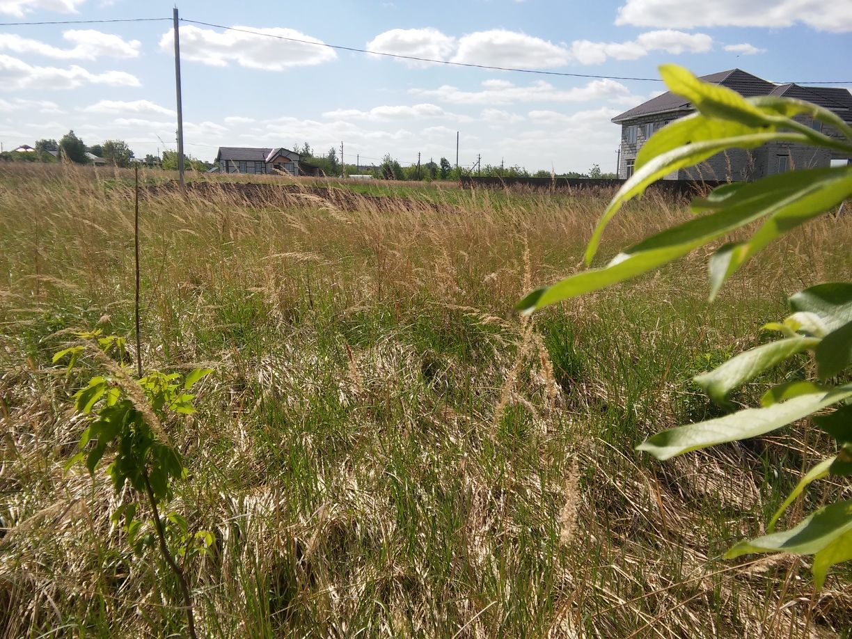 Купить Участок В Богородске Нижегородской