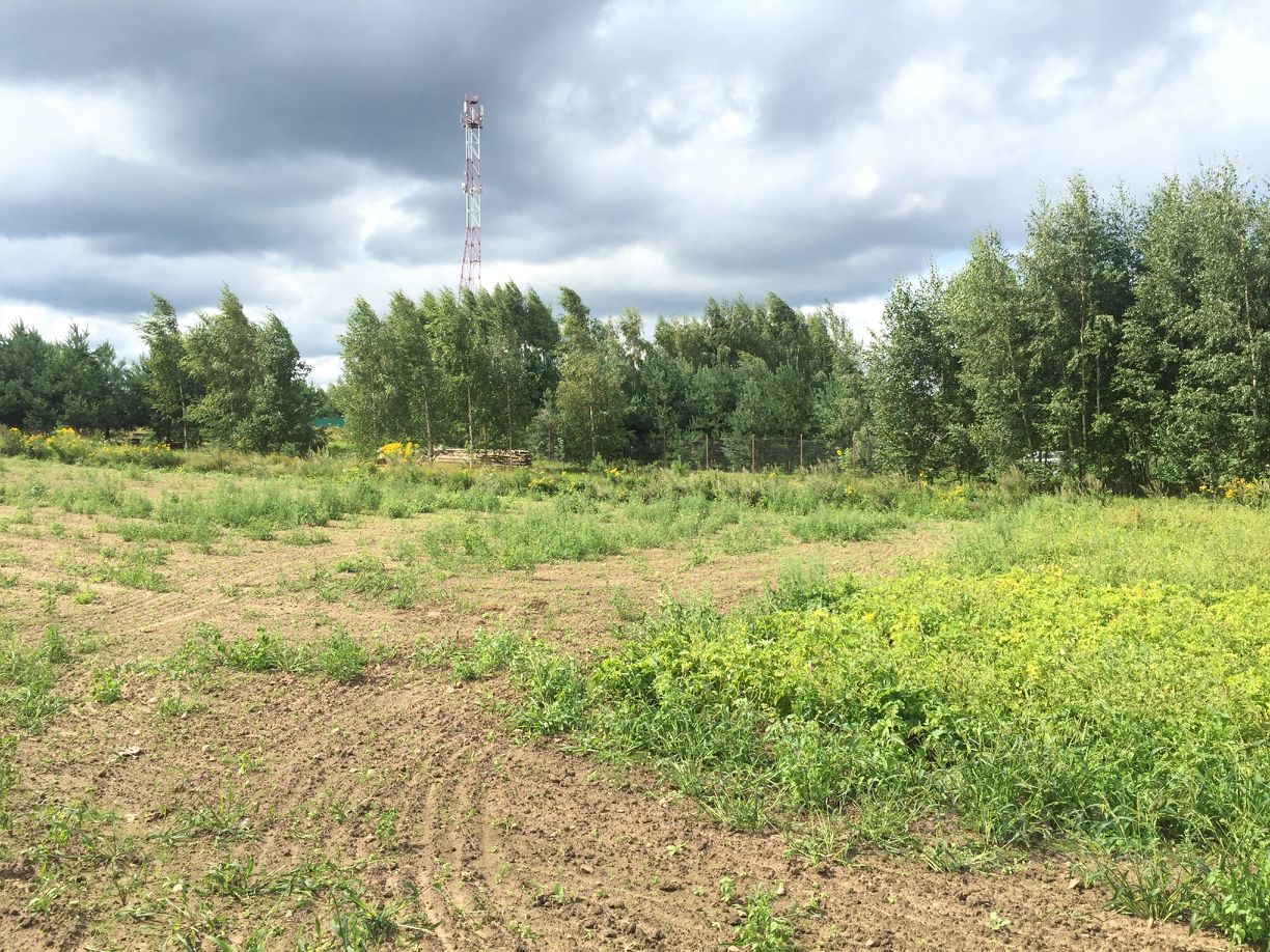 Пансионат кривск псковская область