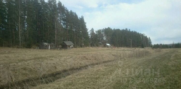 Продажа участка 15сот. Ленинградская область, Приозерский район, Мельниковское с/пос, Хвойное деревня - база ЦИАН, объявление 233459266