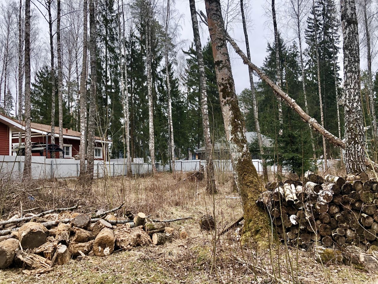 Венский лес поселок Балабаново. Венский лес Балабаново. Венский лес коттеджный поселок.