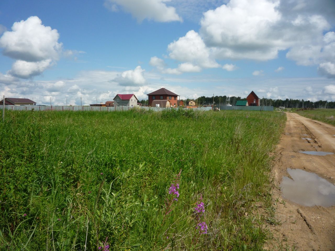 фото земельного участка без строений в деревне