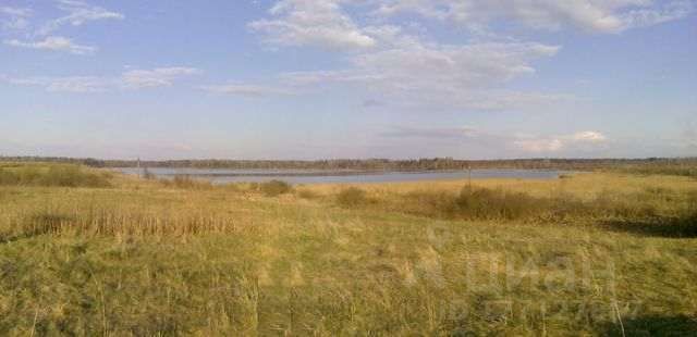 Погода ивантеево новгородской