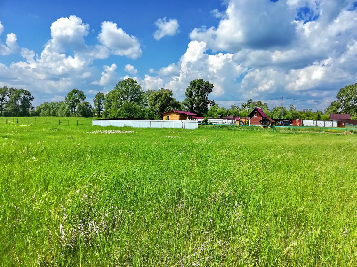 Сосновоборск Красноярский Край Купить Дачу Свежие