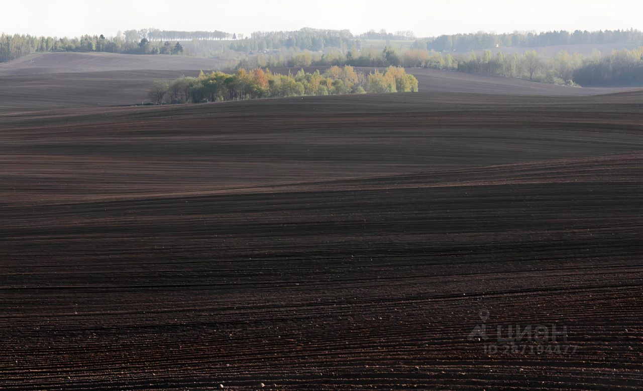 150 гектаров фото