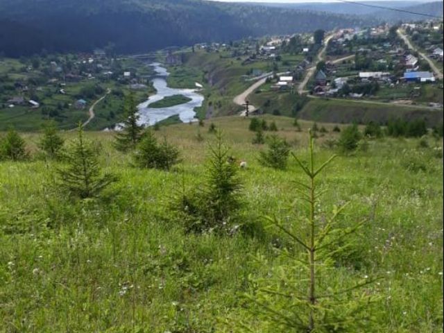 Купить Дом В Кусье Александровский Пермский Край