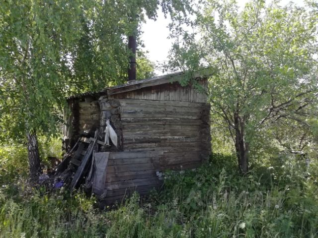 Чувашский сускан фото