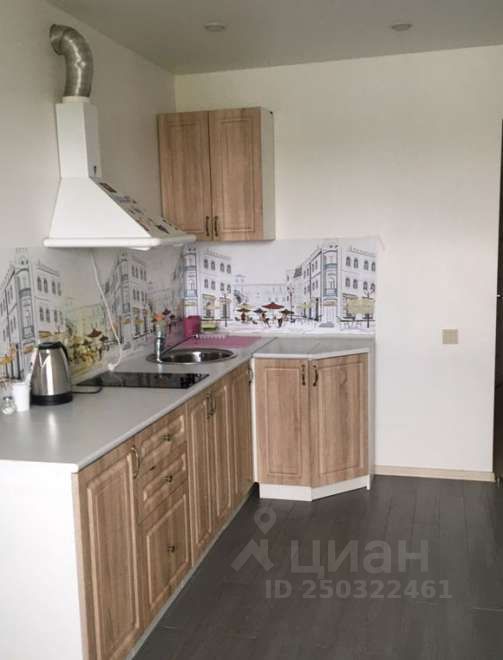 Аренда однокомнатной квартиры 50м² ул. Герцена, 1/1, Новосибирск, Новосибирская область, р-н Кировский, мкр. Северо-Чемской - база ЦИАН, объявление 250322461