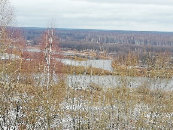 Дом леса гороховец стройматериалы