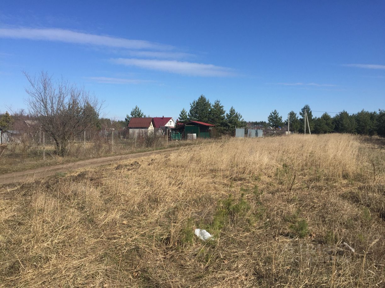 Погода в новоживотинном воронежской. Новоживотинное Воронежская область. Погода Новоживотинное Воронежская область Рамонский.
