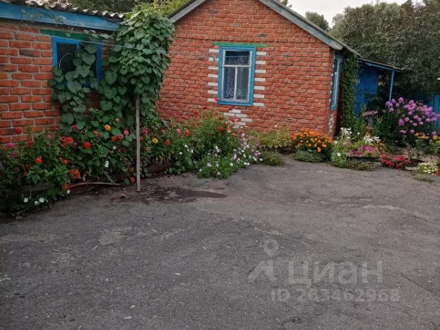 Аренда Дома В Вешенской На Новый Год