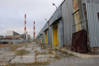 Фото Новосибирск Выборная Фото Новосибирск Выборная