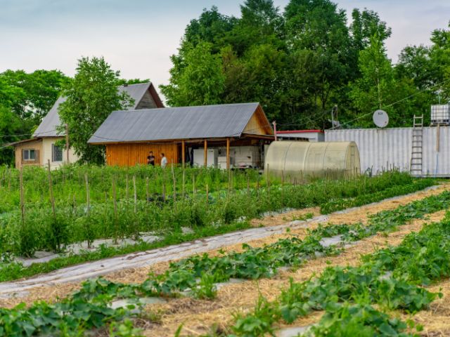 Купить Дом Хабаровский Район Имени Лазо