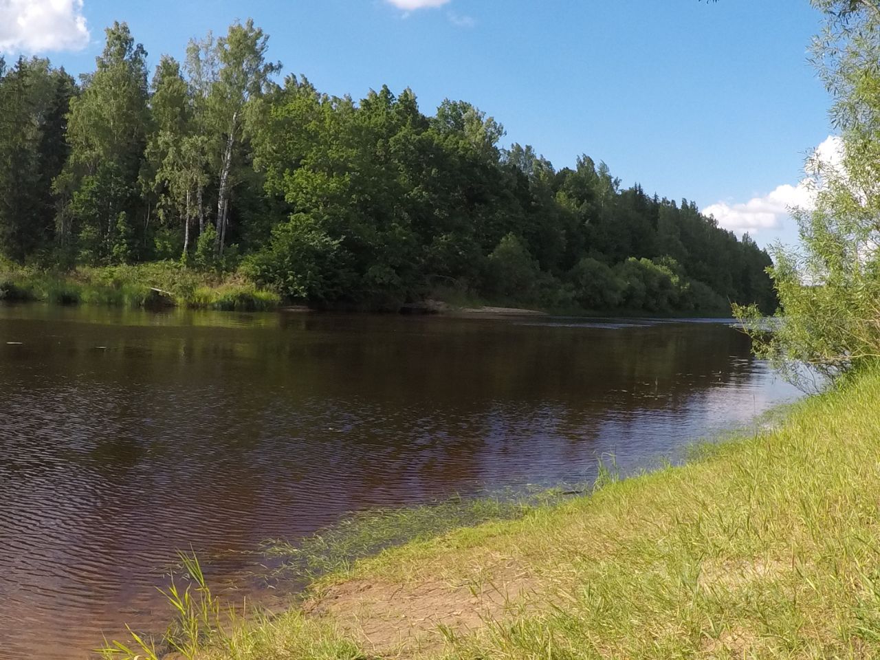 Гаглово Гдовский район