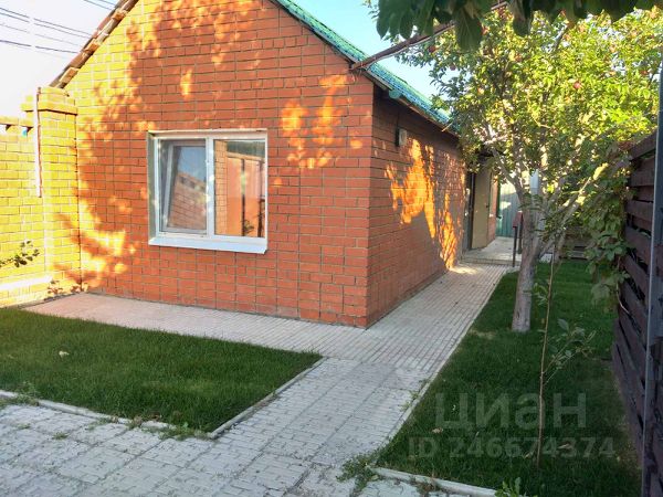 Снять Дачу На Новогодние Праздники
