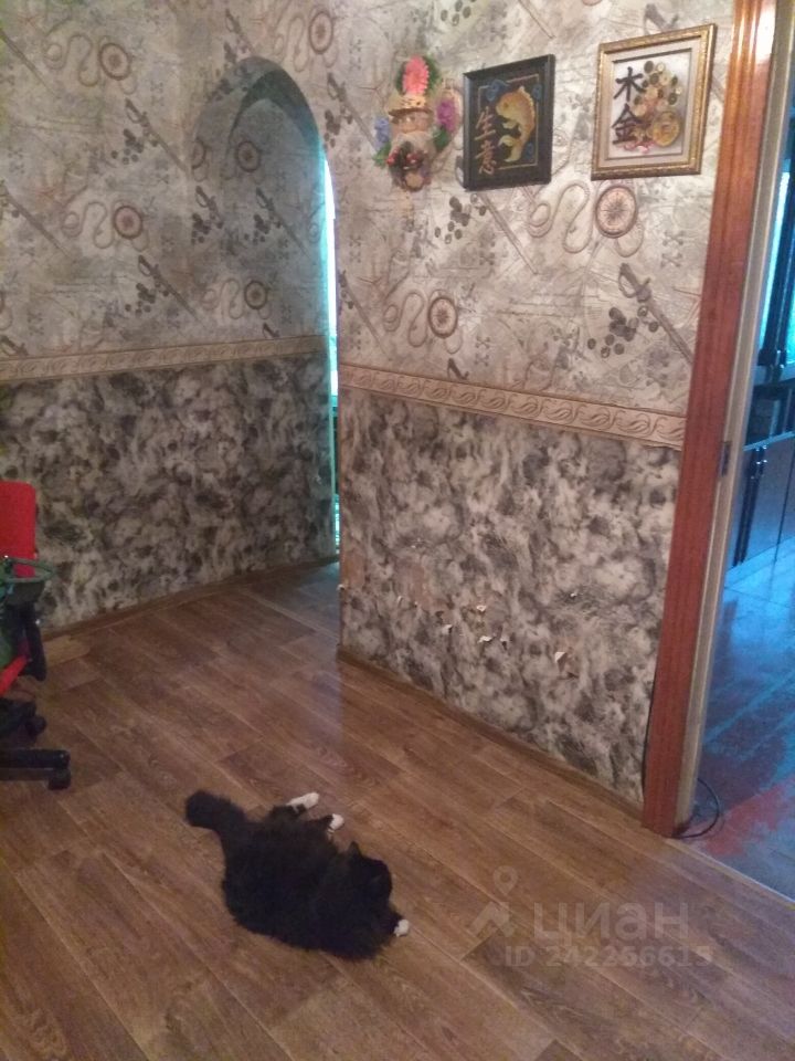 Продажа двухкомнатной квартиры 57м² ул. Свободы, 114, Нижний Новгород, Нижегородская область, р-н Сормовский, мкр. Володарский - база ЦИАН, объявление 242266615