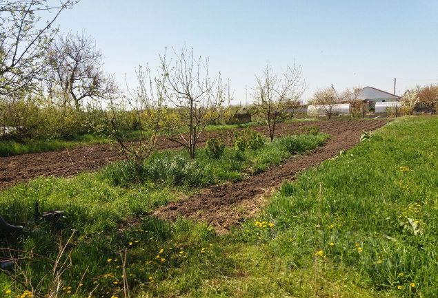 Станица Анастасиевская Краснодарский Купить Дом Недорого