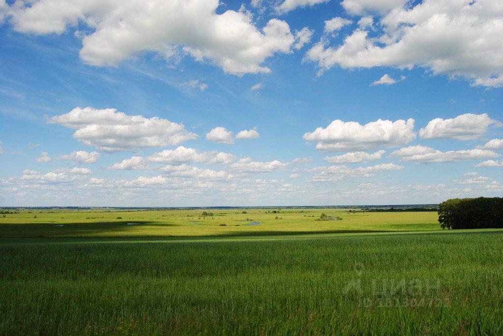 Рязанская земля