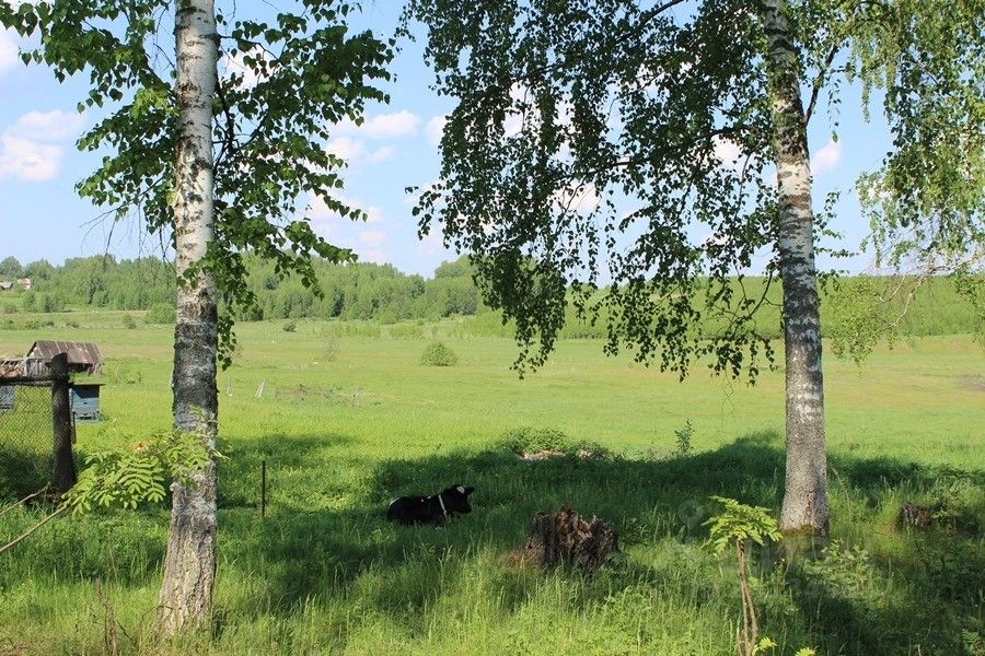 Нижегородская Сокольский Район Фото