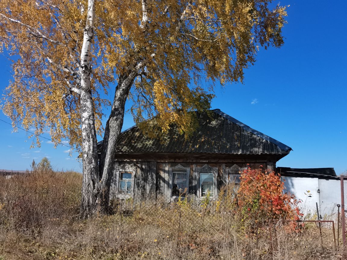 Погода в бенжерепе 2