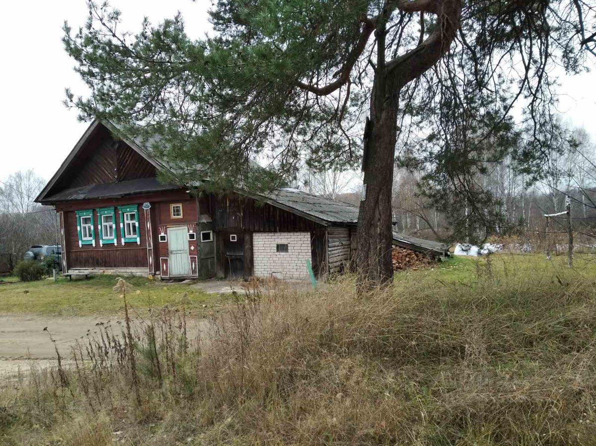 Купить дом 40м² Нижегородская область, Бор городской округ, Юрасово деревня - база ЦИАН, объявление 254556165