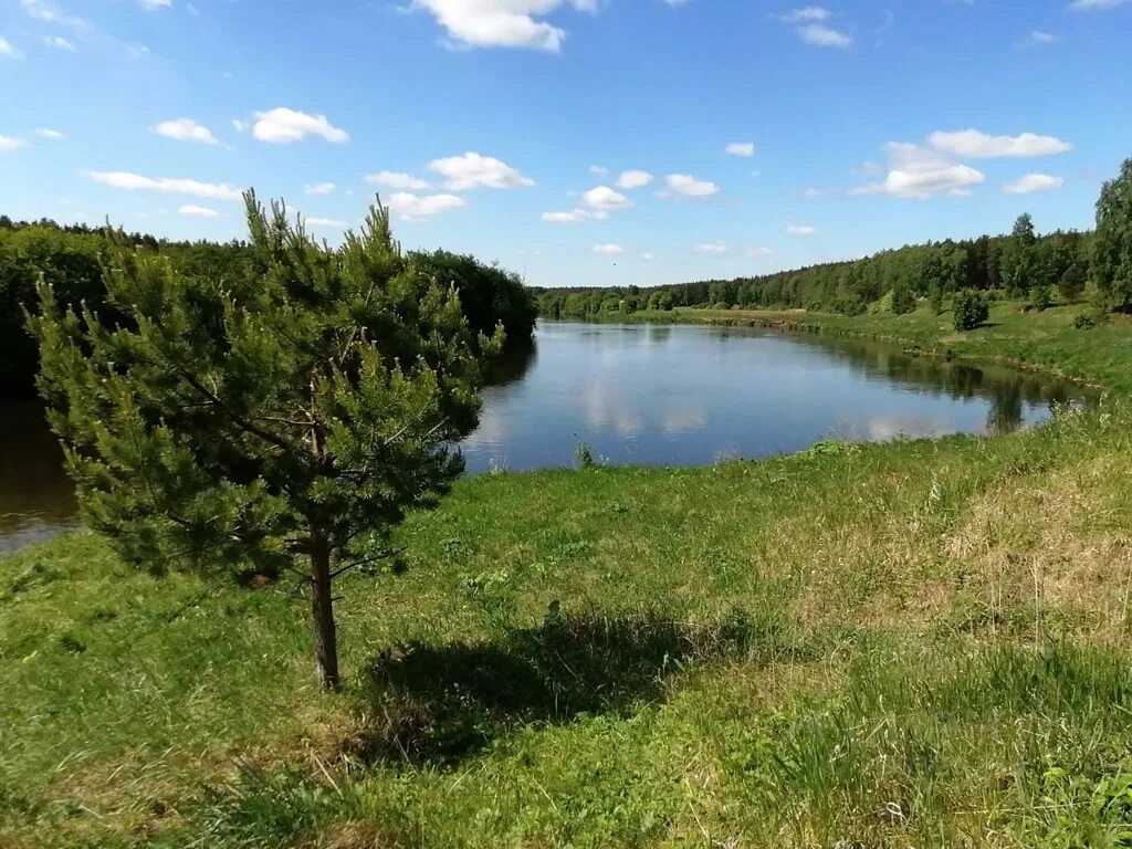 Село колюткино свердловская область. Колюткино Свердловская область. Деревня Колюткино Свердловская область. Колюткино Белоярского. Колюткино Екатеринбург.