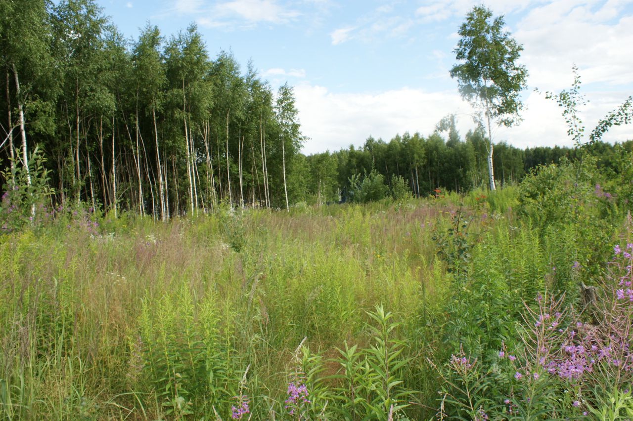 коттеджный поселок александрия вид с коптера. жуково московская область. жуково дмитровский район. деревня семкино московская область. поселок кружева солнечногорский район.