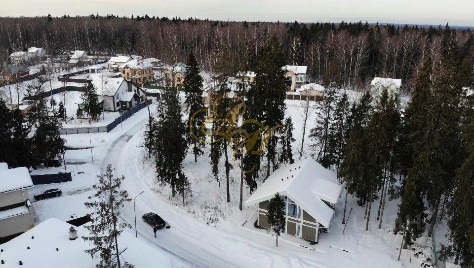 Коттеджный поселок в лесу Подмосковье. Остров в лесу коттеджный поселок. Солнечный лес коттеджный поселок.