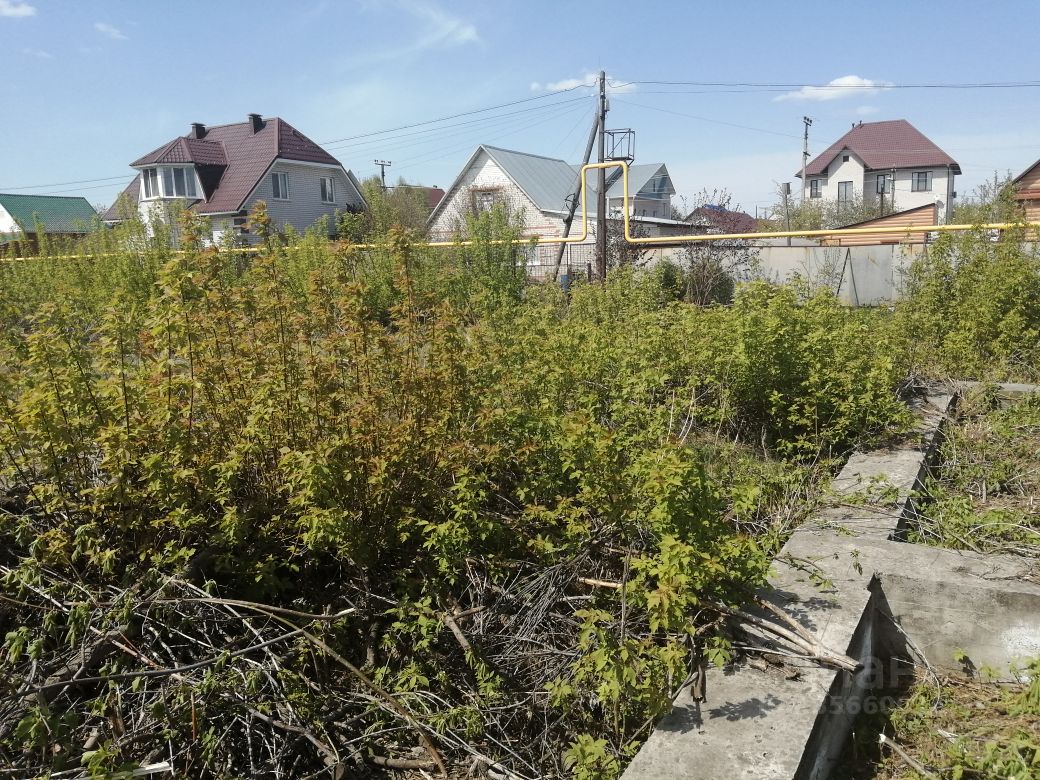 Садоводство В Первомайском Районе Алтайского Края Купить