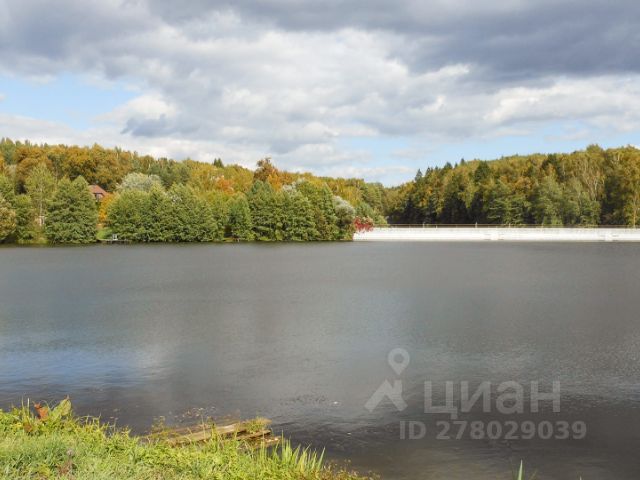 Свайные постройки в природе