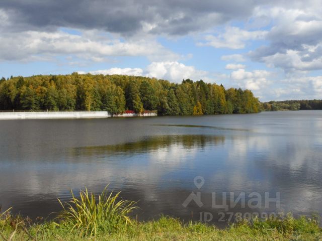 Свайные постройки в природе