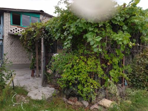 Купить Дачу В Винновке Волгоград Свежие