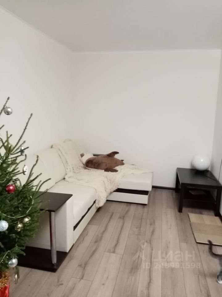 Продажа двухкомнатной квартиры 42м² ул. Богдана Хмельницкого, 32, Миасс, Челябинская область - база ЦИАН, объявление 248991598