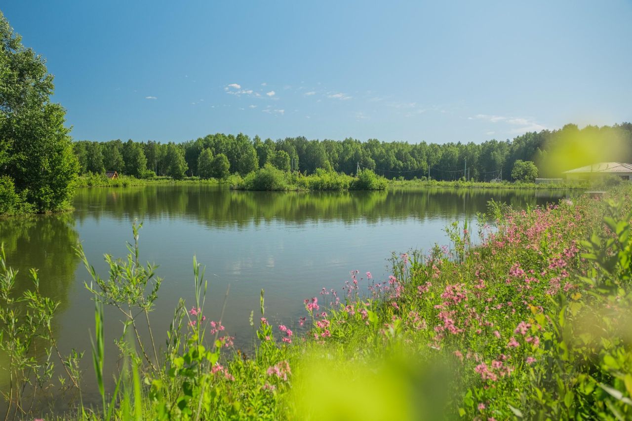 Купить Земельный Участок В Елкино Свердловская Область