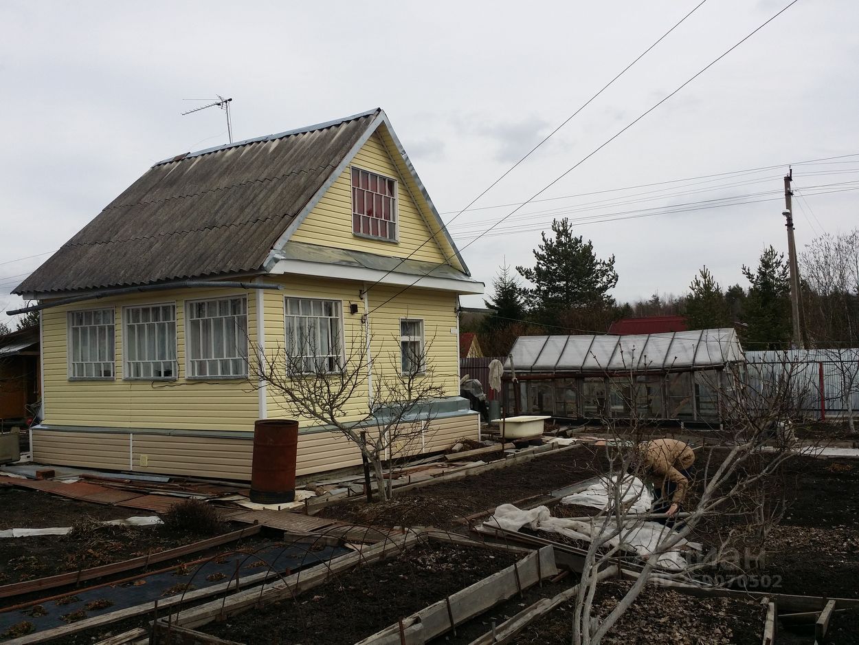 Купить Участок В Рубеже Тосненский