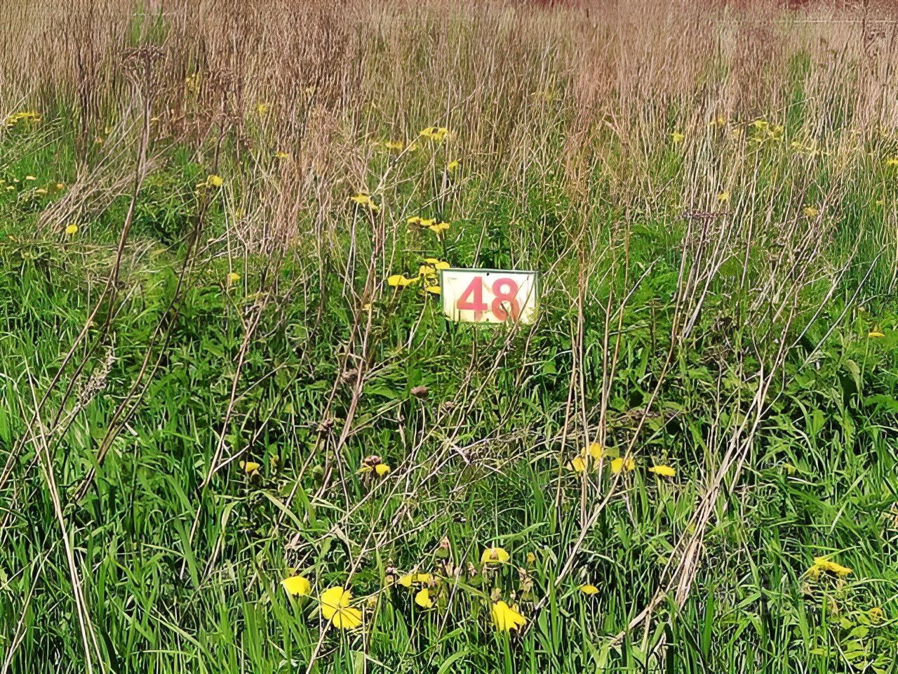 Продажа участка 10.12сот. Ленинградская область, Гатчинский район ...