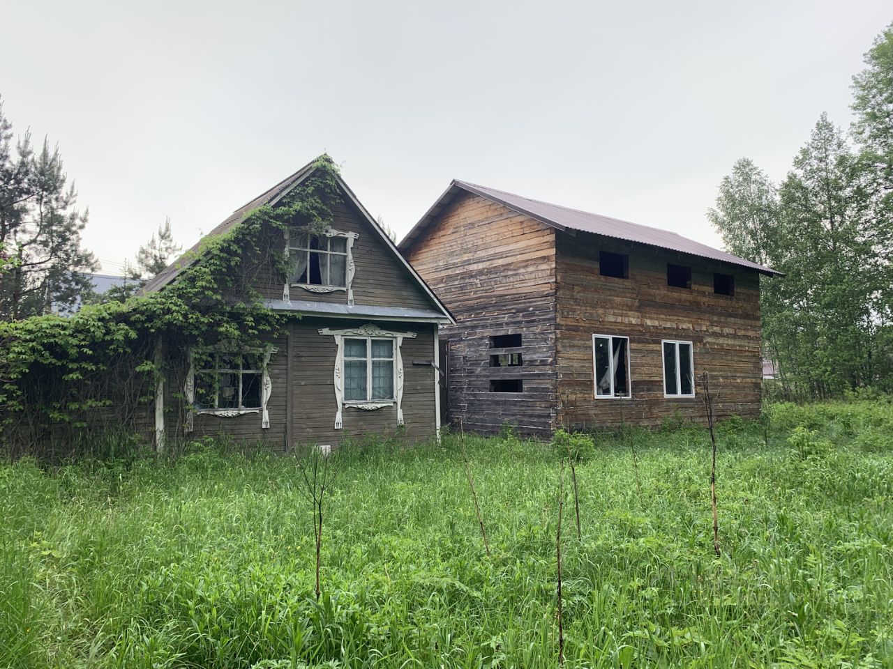 Деревня большое Страшево Талдомский район