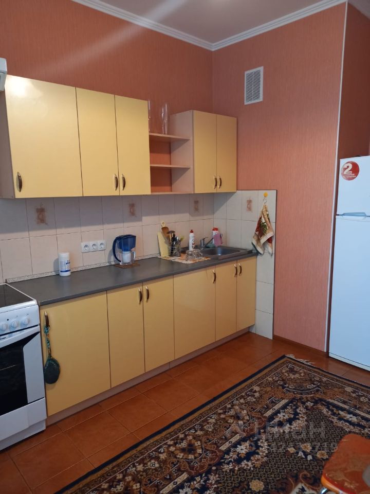 Сдам однокомнатную квартиру 45м² Московская область, Балашиха, мкр. 1 мая, 26 м. Щелковская - база ЦИАН, объявление 242433719