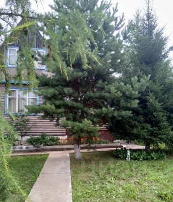 Продажа дома 70м² Иркутская область, Иркутский район, Пивовариха село - база ЦИАН, объявление 229863196
