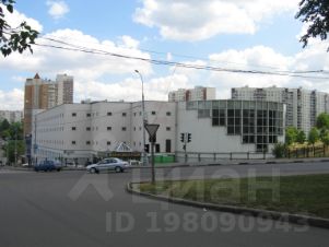 Аренда офиса на ул удальцова 65 коммерческая недвижимость в спб аналитика