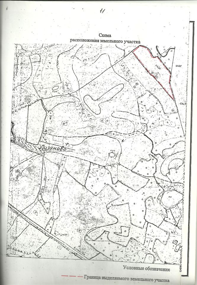 Кадастровая карта деревни лизуново