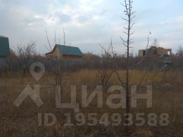 Юбочкой студенток журавли на столбе видео долгожданная встреча группа