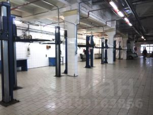 авито коммерческая недвижимость семикаракорск