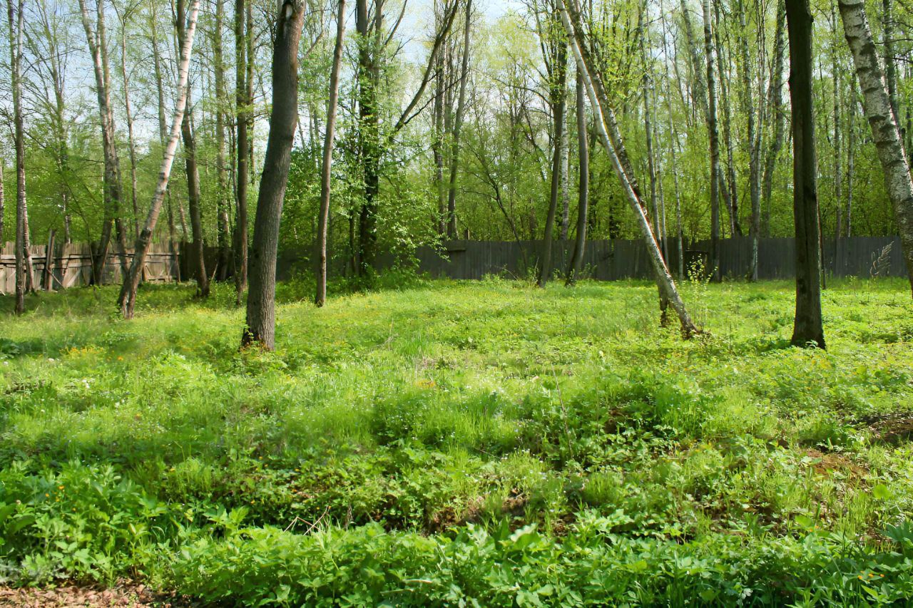 Земельные участки в нижнем новгороде