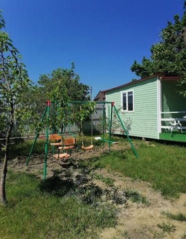 Зеленоградск В Новый Год Фото Зеленоградск В Новый Год Фото