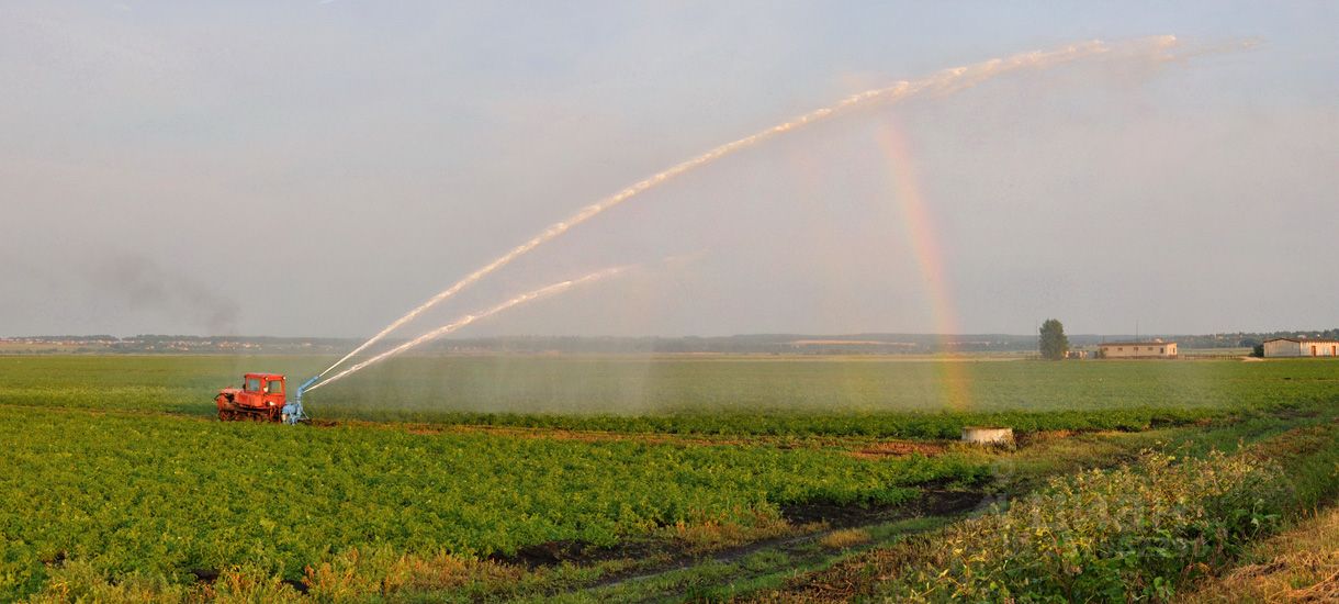 Погода в новопушкинском энгельсский на 3 дня