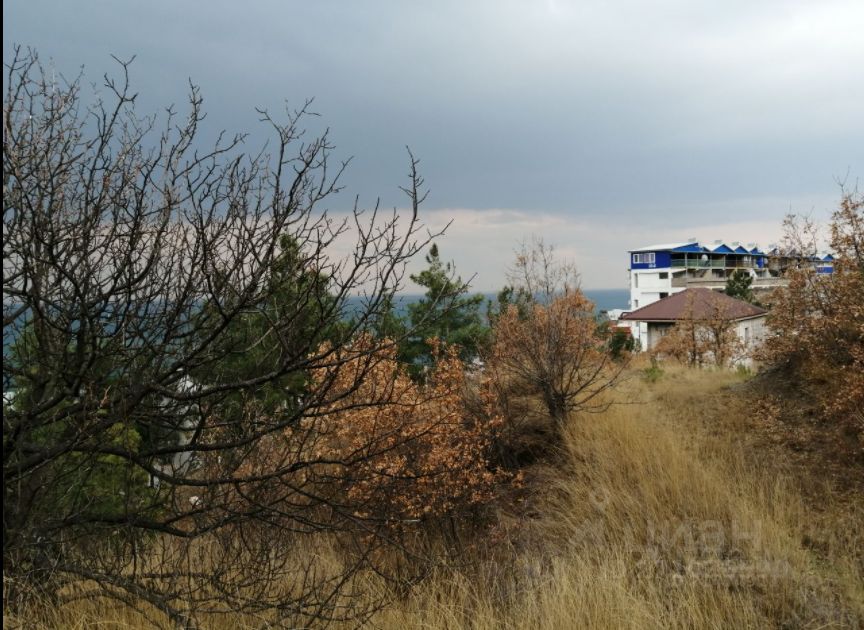 Поселок дельфины. Поселок дельфины