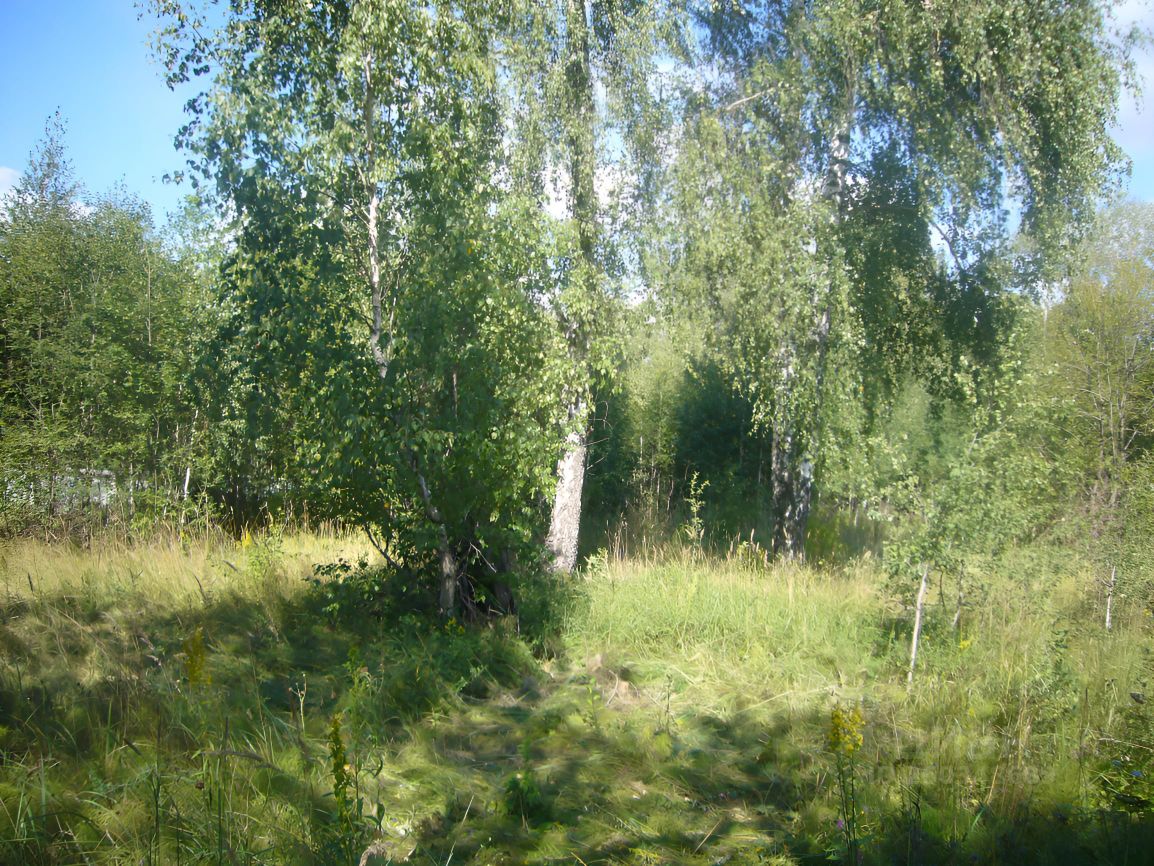 Продажа участка 12сот. Московская область, Коломна городской округ ...