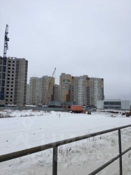 Ленинский проспект дубочки