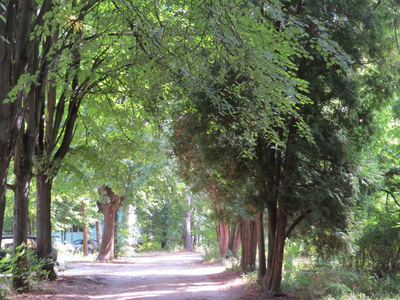 Купить участок 6сот. Московская область, Раменский городской округ ...